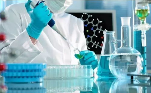 園區企業領航材料科學，國家重點研發項目5930萬經費助推科技創新